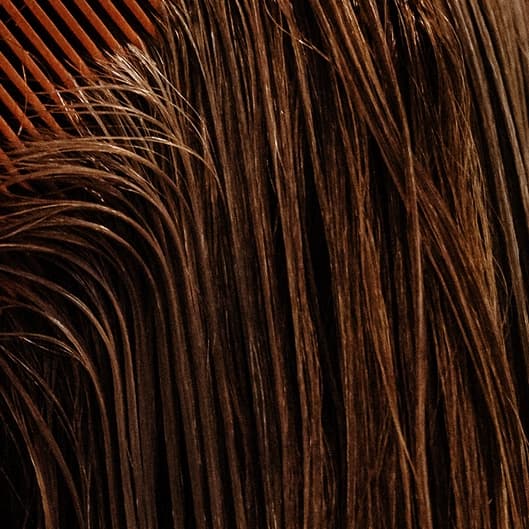 PIXIE MEMBERSHIP at Shear Diva Artistry Salon Studio in Dallas, TX